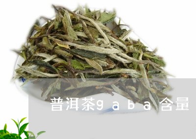 普洱茶gaba含量/2023070973936