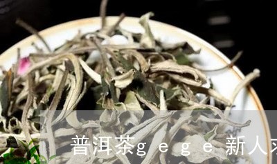 普洱茶gege新人求关注/2023082528169