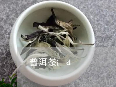 普洱茶id/2023081826060