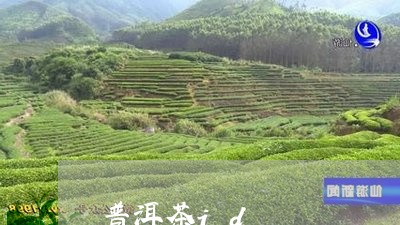 普洱茶id/2023102573714