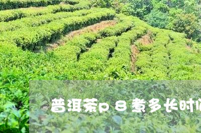 普洱茶p8煮多长时间/2023092690570