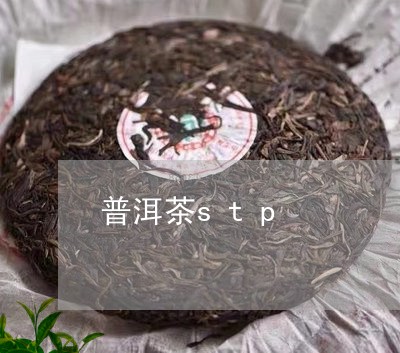 普洱茶stp/2023042871797