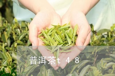 普洱茶t48/2023042977139