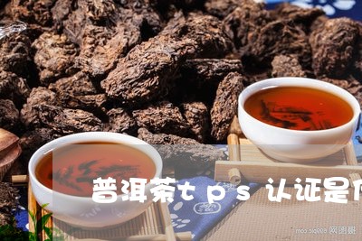 普洱茶tps认证是什么意思/2023052858481