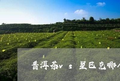 普洱茶vs星巴克哪个好喝/2023112404704