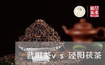 普洱茶vs泾阳茯茶/2023070962148