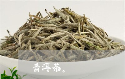 普洱茶。/2023083181582