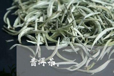 普洱茶。/2023110828382