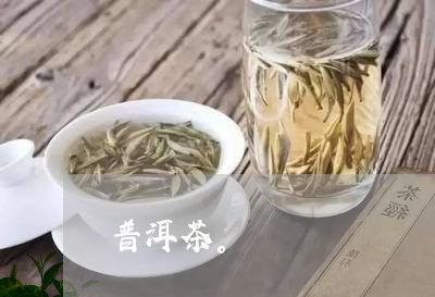 普洱茶。/2023121833715