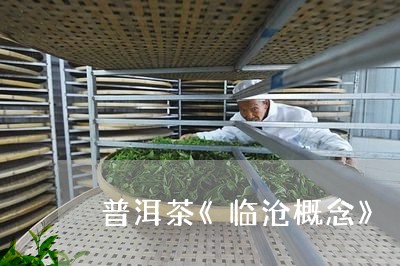 普洱茶《临沧概念》/2023091429969