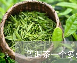 普洱茶一个多少克合适呢/2023102404170