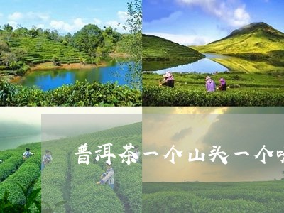 普洱茶一个山头一个味/2023092559425