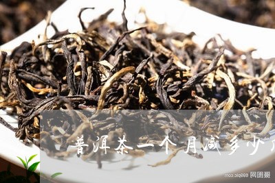 普洱茶一个月减多少斤/2023092580794