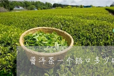 普洱茶一个档口多少钱/2023061443816