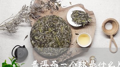 普洱茶一个球是什么牌子/2023103149392