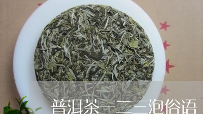 普洱茶一二三泡俗语/2023120501583