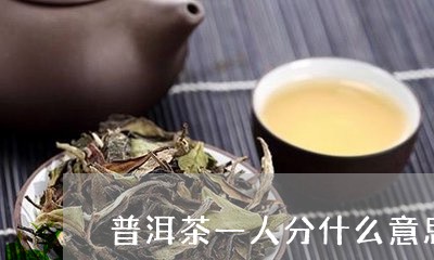 普洱茶一人分什么意思/2023072238271