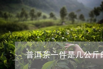 普洱茶一件是几公斤的啊/2023101704047