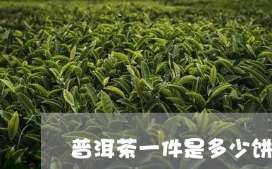 普洱茶一件是多少饼/2023070974139