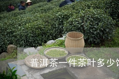 普洱茶一件茶叶多少饼/2023093039571