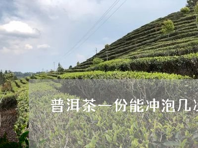 普洱茶一份能冲泡几次/2023062014947