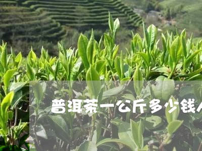 普洱茶一公斤多少钱人民币/2023112470505