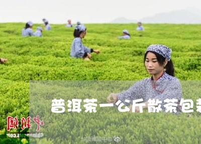 普洱茶一公斤散茶包装/2023120682816