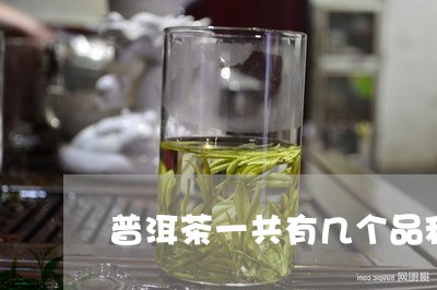 普洱茶一共有几个品种/2023062220492