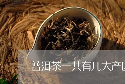 普洱茶一共有几大产区/2023092857368