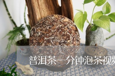 普洱茶一分钟泡茶视频讲解/2023112570502