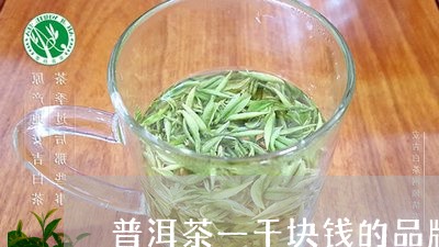 普洱茶一千块钱的品牌/2023062101804