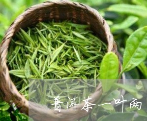 普洱茶一叶两芽的图片/2023120650581