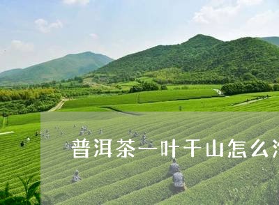 普洱茶一叶千山怎么泡/2023092680593