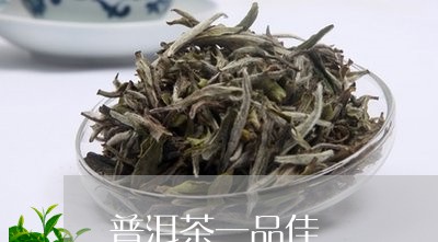 普洱茶一品佳/2023090683625