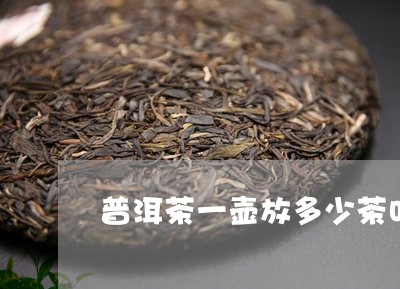 普洱茶一壶放多少茶叶/2023092751714