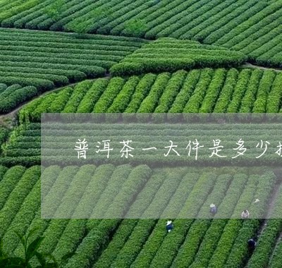 普洱茶一大件是多少提/2023120637369