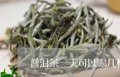 普洱茶一天可以喝几杯/2023061561625