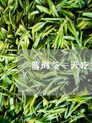 普洱茶一天吃多少合适/2023092668280