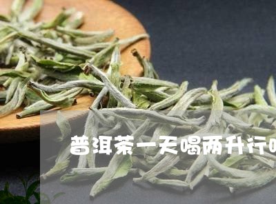 普洱茶一天喝两升行吗/2023080766257