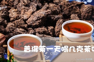 普洱茶一天喝几克茶叶/2023092880592