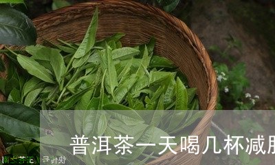 普洱茶一天喝几杯减肥/2023092673068