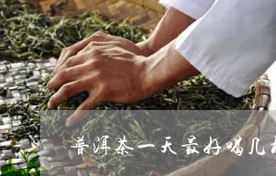 普洱茶一天最好喝几杯/2023061574828