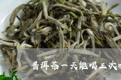 普洱茶一天能喝三次吗/2023061483926