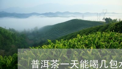 普洱茶一天能喝几包水喝完/2023110647359