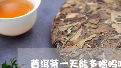 普洱茶一天能多喝吗吗/2023062833815