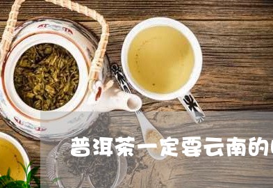 普洱茶一定要云南的吗/2023092784917