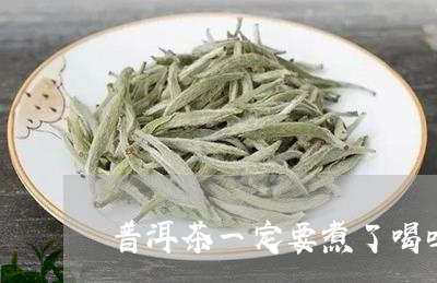 普洱茶一定要煮了喝吗/2023092670504