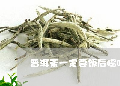 普洱茶一定要饭后喝吗/2023072210492