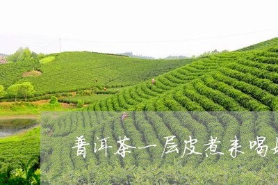 普洱茶一层皮煮来喝好吗/2023082928040