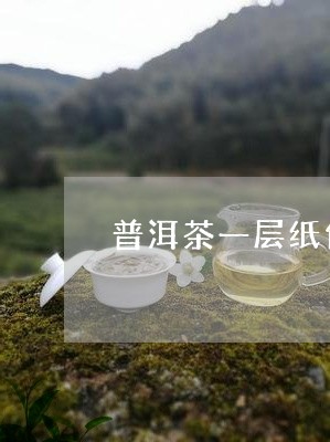 普洱茶一层纸包装与二层纸的区别/2023110670603